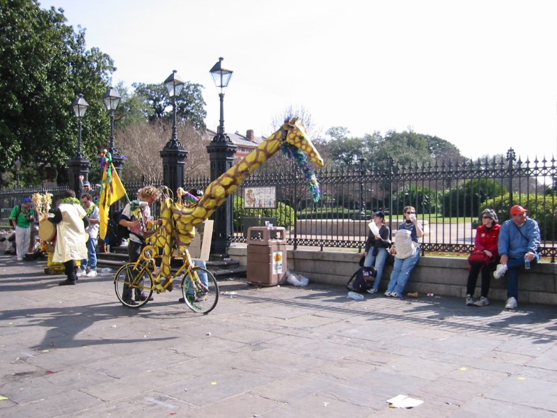 IMG_8210.jpg