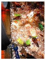 IMG_7554Trash.jpg