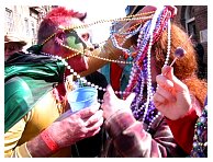 IMG_8370.jpg