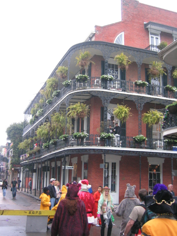 IMG_1196.jpg