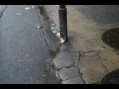 IMG_0875b