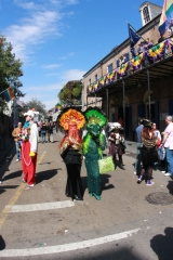 IMG_6140_40D