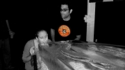 SDC11489